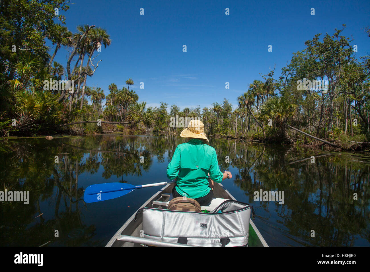 Canoa, Chassahowitzka National Wildlife Refuge, Florida, Stati Uniti d'America. Modello di Rilascio disponibili. Foto Stock