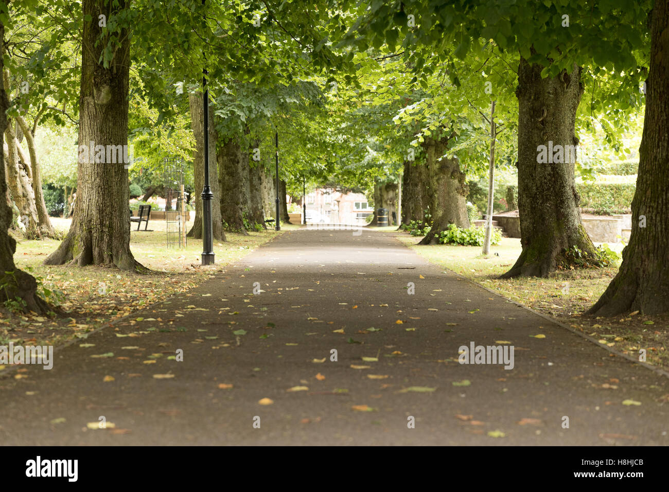 Una vista sui giardini pubblici nella città di Alton park in Hampshire. Foto Stock