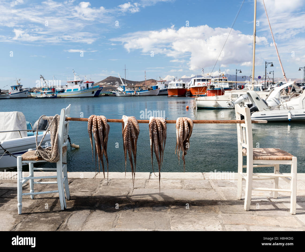 Polpo di essiccamento appeso su un palo tra due sedie sulla banchina del porto di Naxos nelle isole Cicladi Grecia Foto Stock