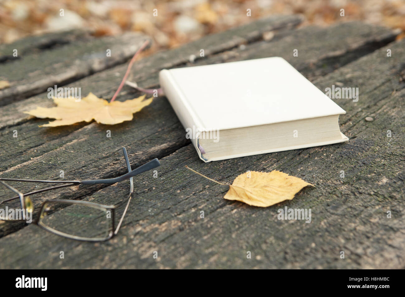 Svuotare la copertina del libro con foglie di autunno su sfondo di legno Foto Stock