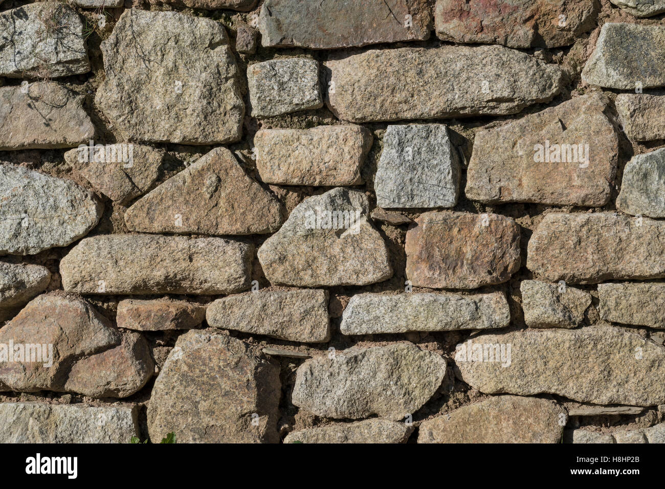Sezione di muro di pietra con pietre perfettamente interbloccanti e pietre irregolari. Per il settore edile del Regno Unito. Foto Stock