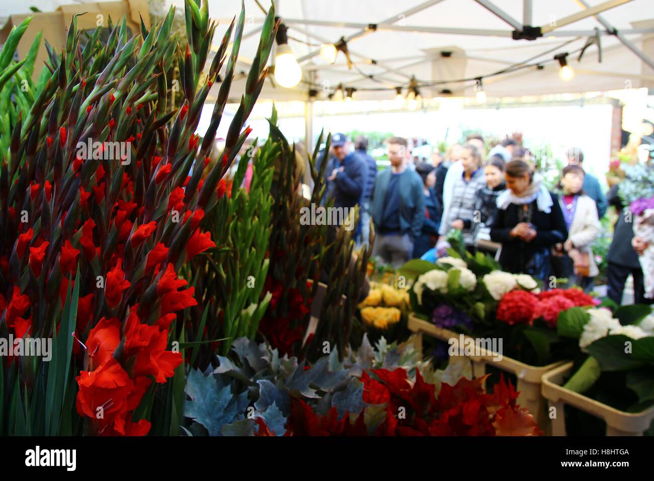 Il Columbia Road Flower Market 1/8 Foto Stock