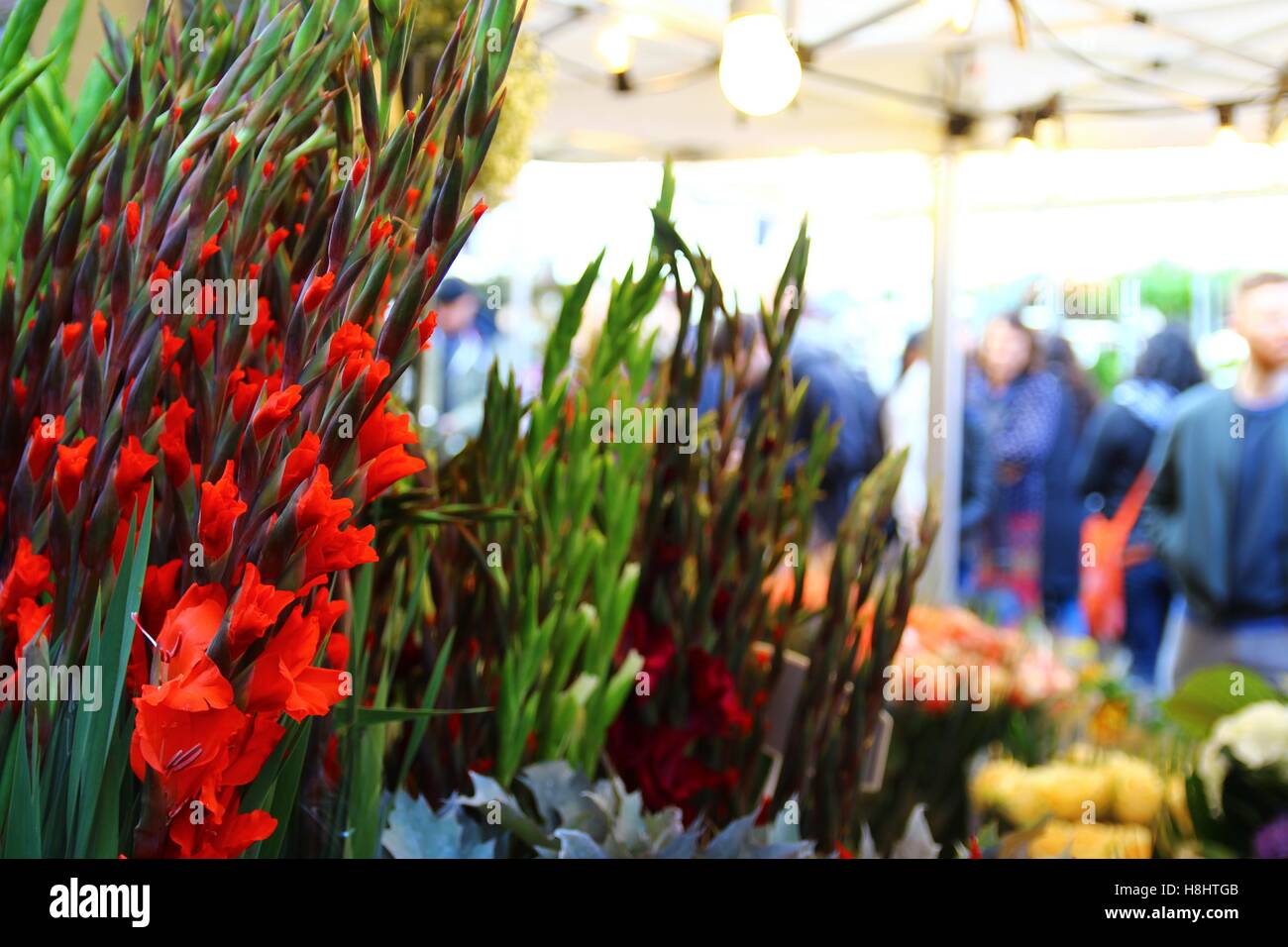 Il Columbia Road Flower Market 2/8 Foto Stock