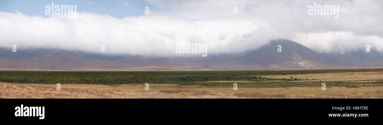 Vista di sversamento di nuvole sopra il bordo del cratere del cerchio intorno alla riserva naturale di Ngorongoro in Tanzania Africa Foto Stock