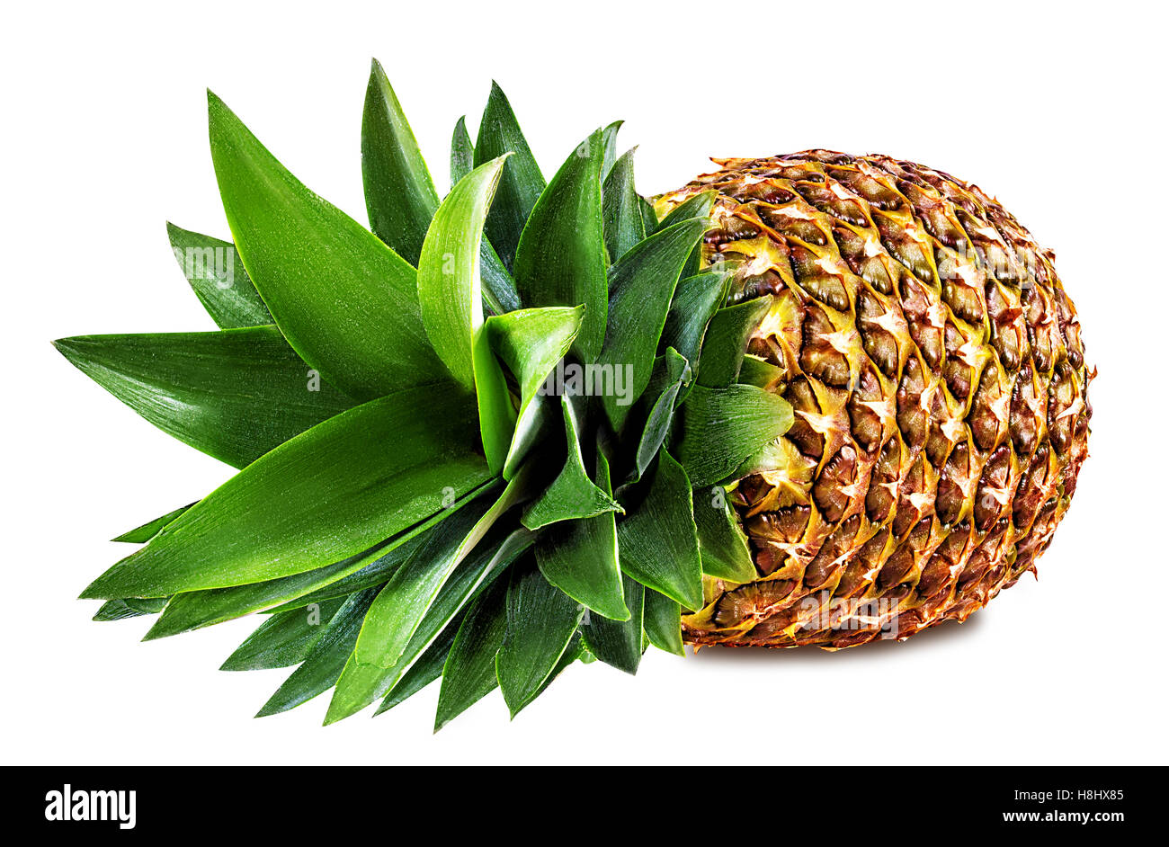 Ananas isolati su sfondo bianco Foto Stock
