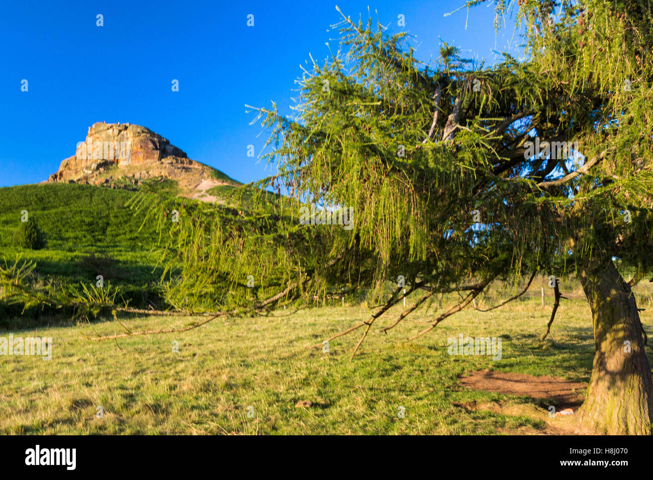 Roseberry Topping, North Yorkshire, Inghilterra Foto Stock