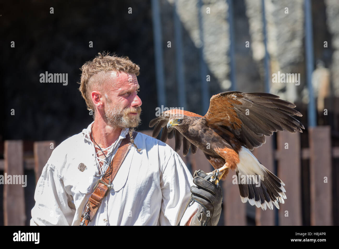 Gli uccelli rapaci mostra nel castello medievale di Bouillon, Belgio Foto Stock