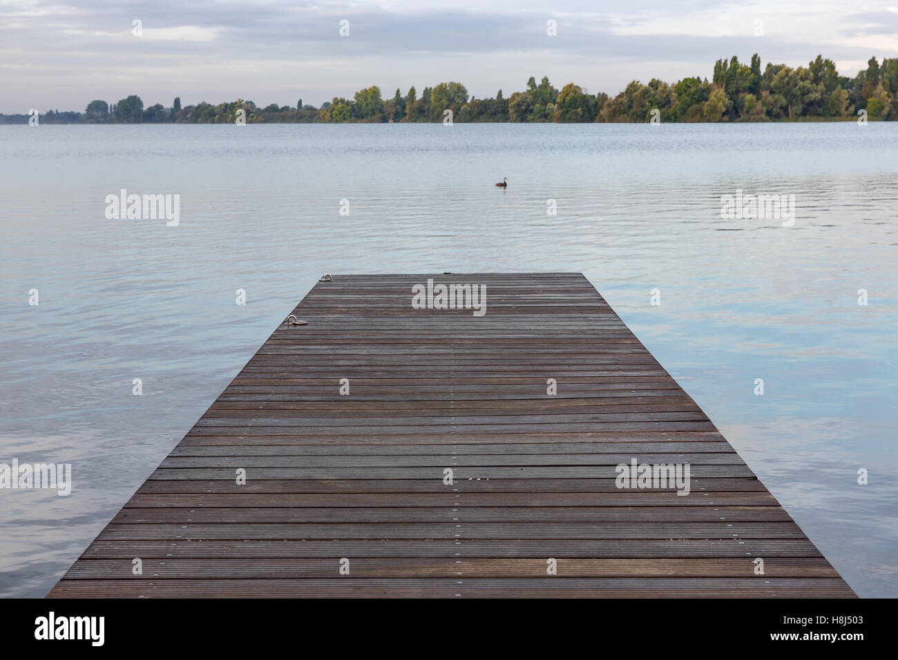 Il molo di legno al lago olandese al mattino presto Foto Stock