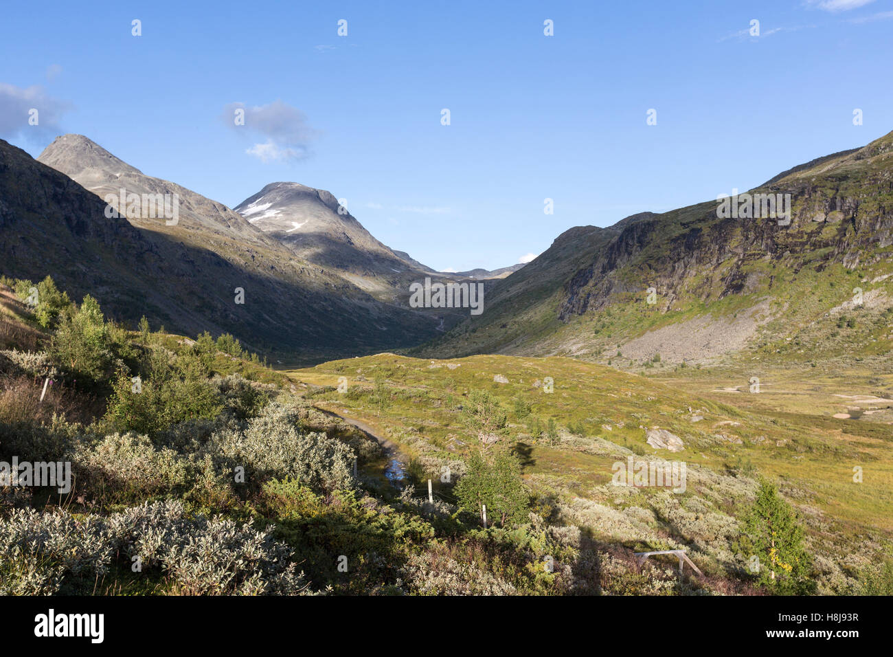 County Road 55, mountain pass road in Norvegia Foto Stock