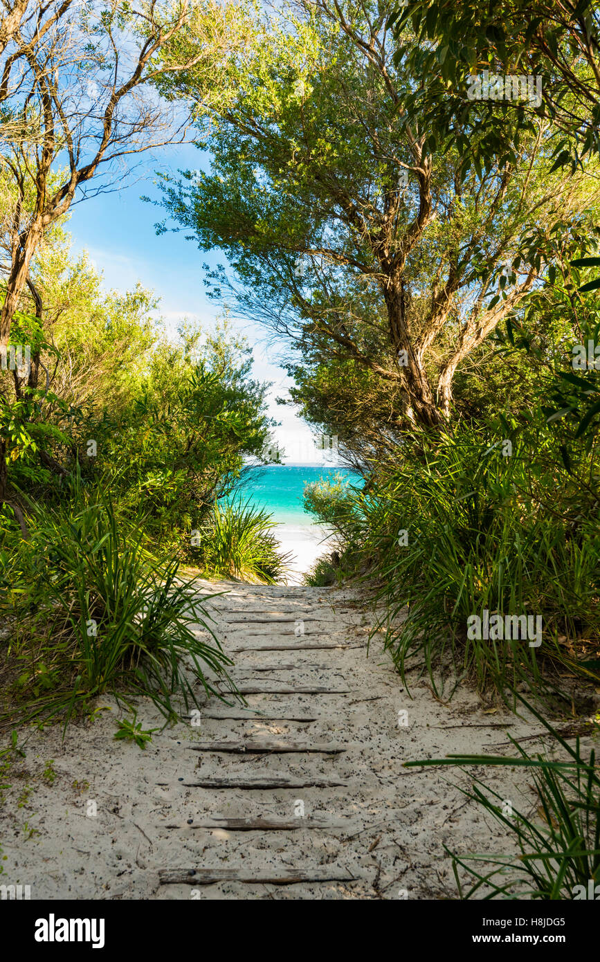 Uno stretto sentiero sabbioso conduce al blu del cielo e la sabbia dorata di una spiaggia australiana del Nuovo Galles del Sud Costa sud Foto Stock