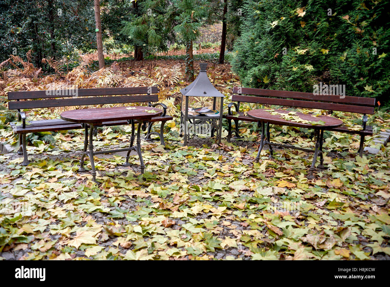 Banchi vuoti tra caduto foglie di autunno nostalgia Foto Stock