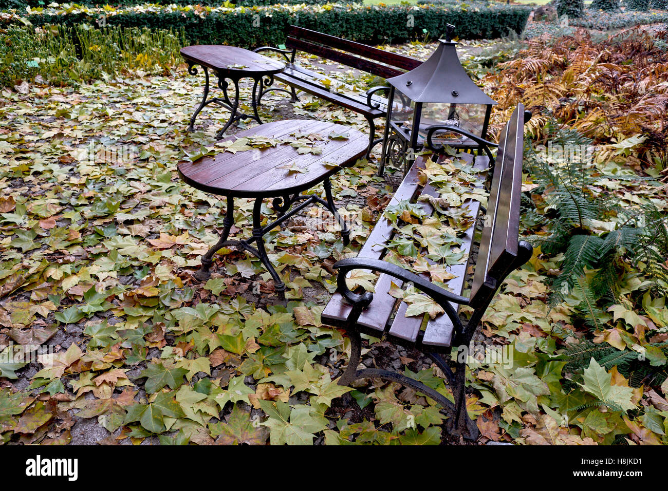 Banchi vuoti tra caduto foglie di autunno nostalgia Foto Stock