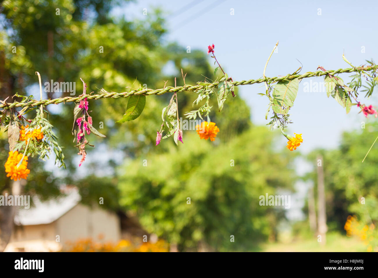 Fiori e ghirlande di erba in stringa tra le case di Tihar è nelle zone rurali del Nepal Foto Stock