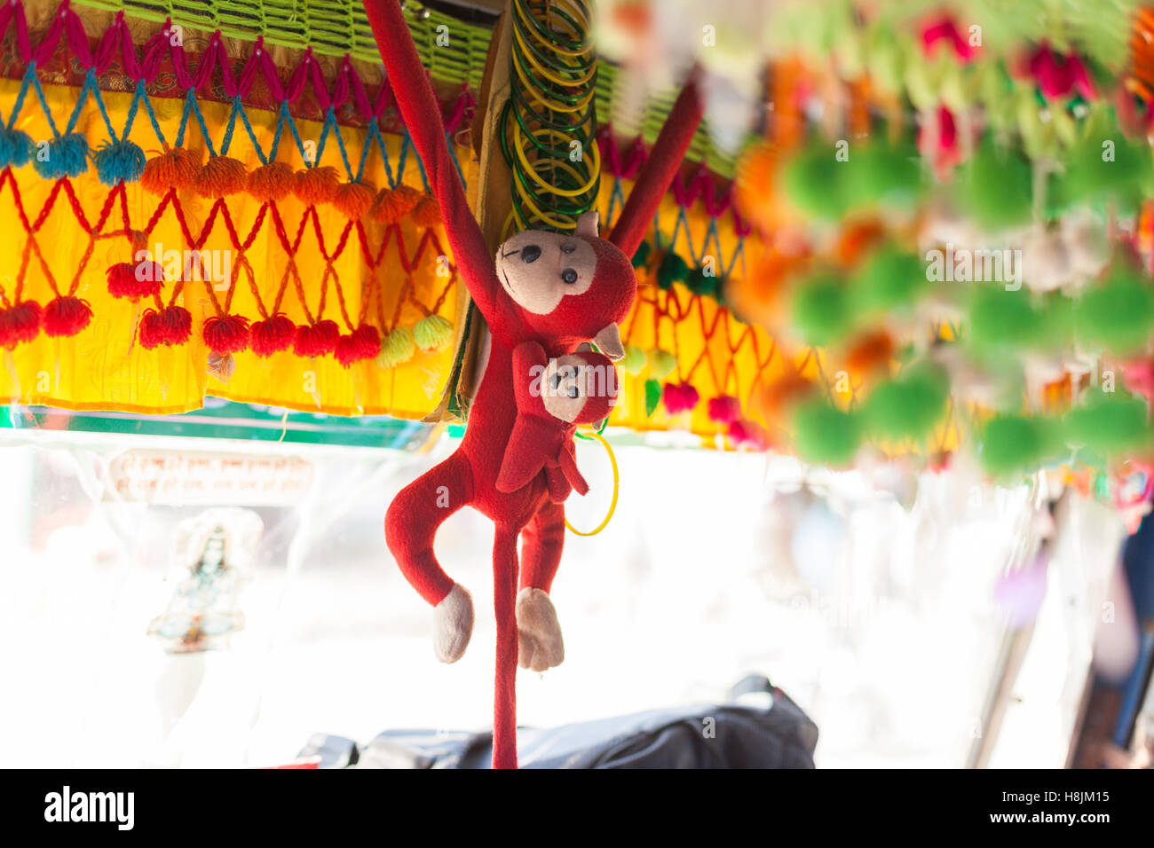 Scimmiette colorate nella parte anteriore di un bus locale, Chitwan, Nepal Foto Stock