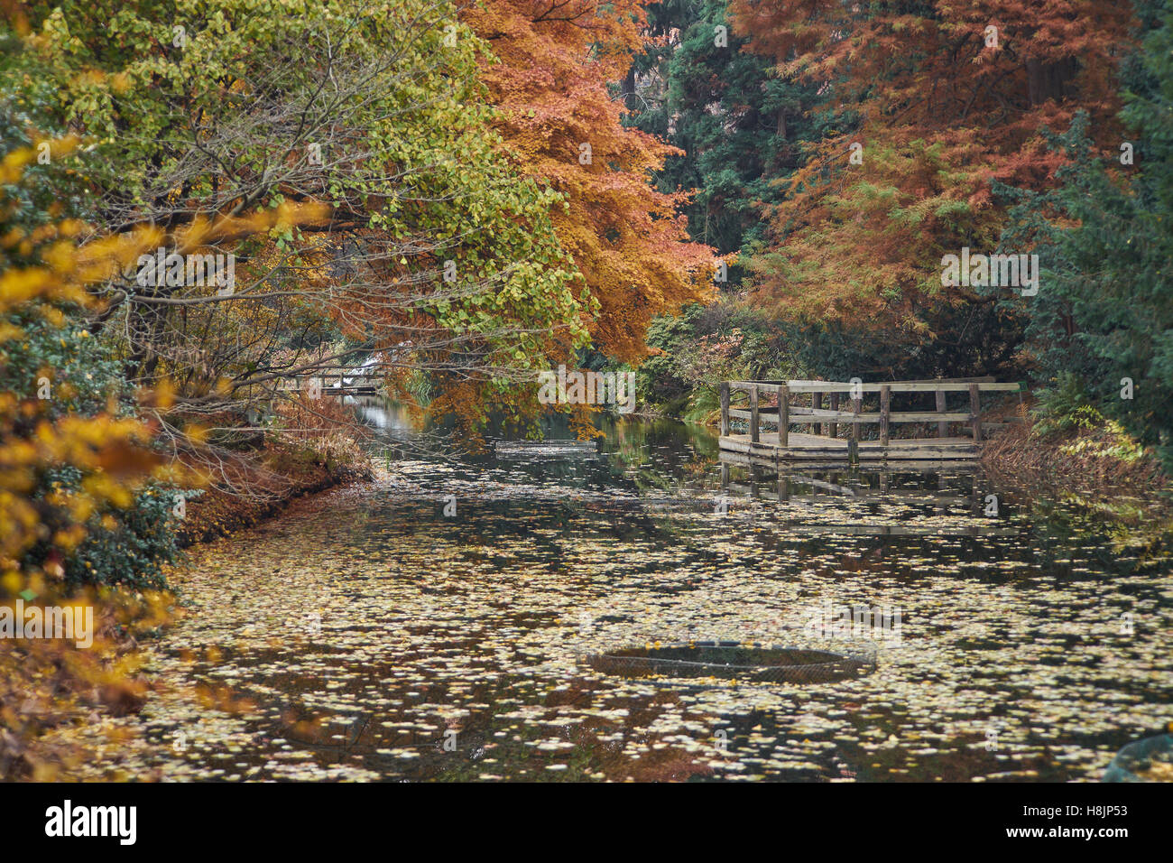 In autunno il silenzio vuoto solitudine acqua tranquilla Foto Stock