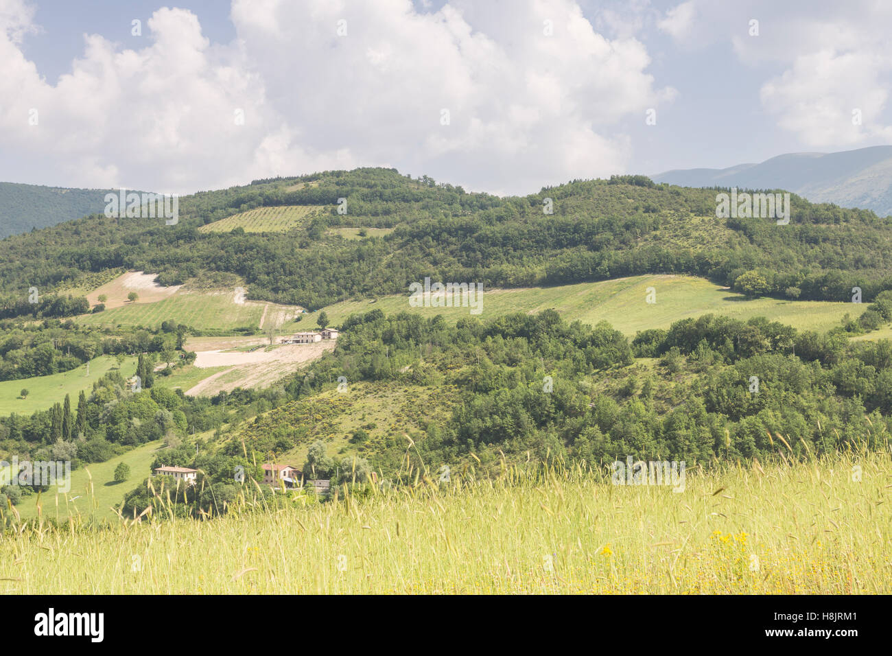 I Monti Sibilini Parco Nazionale in Umbria, Italia. Foto Stock