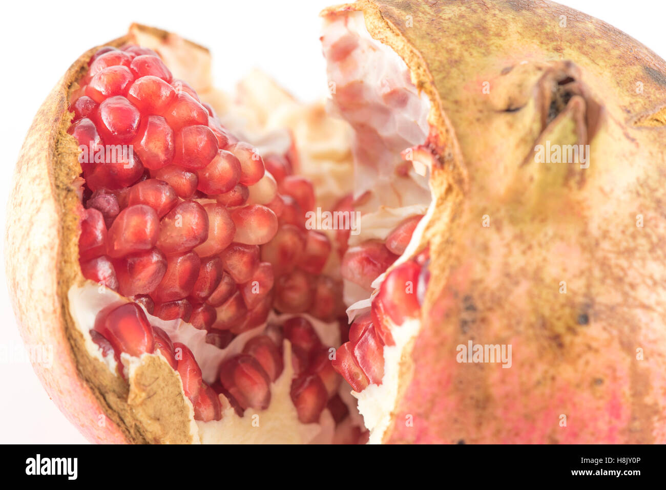 Melograno (Punica granatum) su sfondo bianco Foto Stock