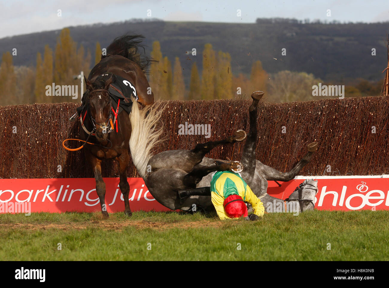 Aidan Coleman Parts Company con Mick Thonic all'ultima recinzione prima durante il Racing Post Arkle Trophy Trial Novices' Steeple Chase correre durante l'Open Sunday dell'Open Festival all'Ippodromo di Cheltenham. PREMERE ASSOCIAZIONE foto. Data immagine: Domenica 13 novembre 2016. Guarda la storia della PA DI CHELTENHAM. Il credito fotografico dovrebbe essere: Julian Herbert/PA Wire. Foto Stock