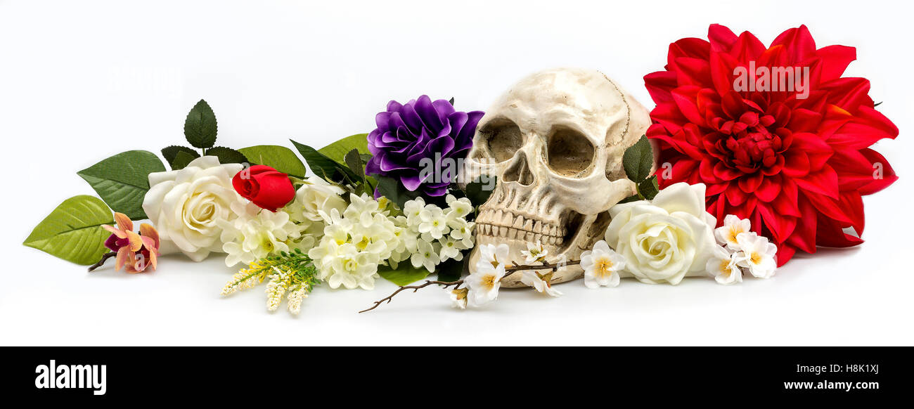 Un modello di cranio circondato da fiori artificiali. Foto Stock