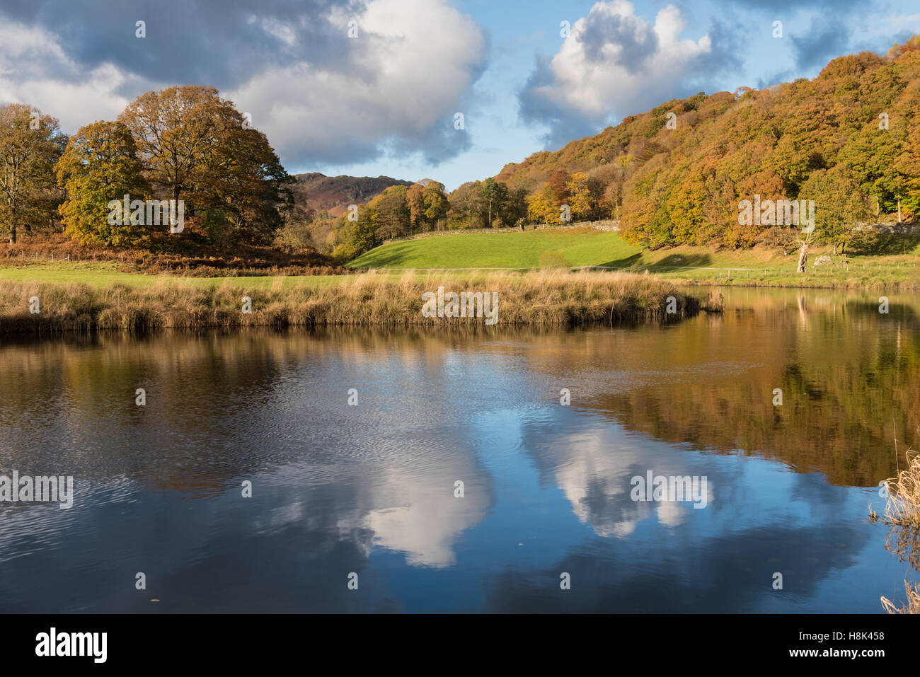 Autunno riflessioni nel fiume Brathay in Langdale Cumbria Foto Stock