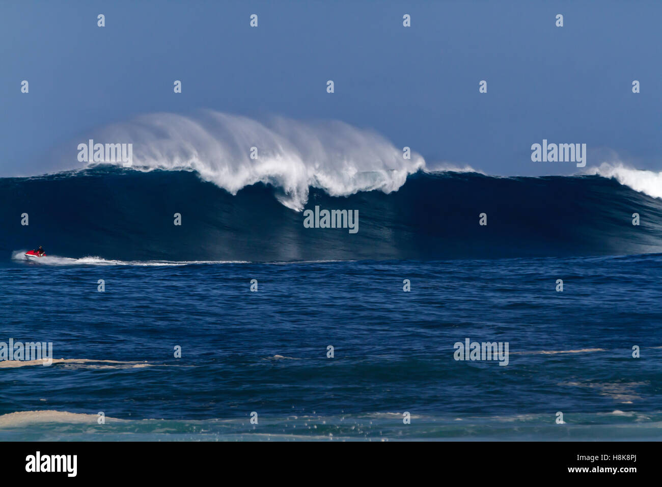 Trainare in surfers su guide d'onda surf onde grandi sulla North Shore di Oahu Foto Stock