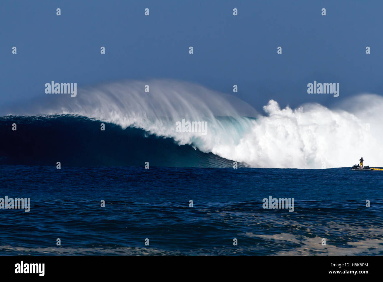 Trainare in surfers su guide d'onda surf onde grandi sulla North Shore di Oahu Foto Stock