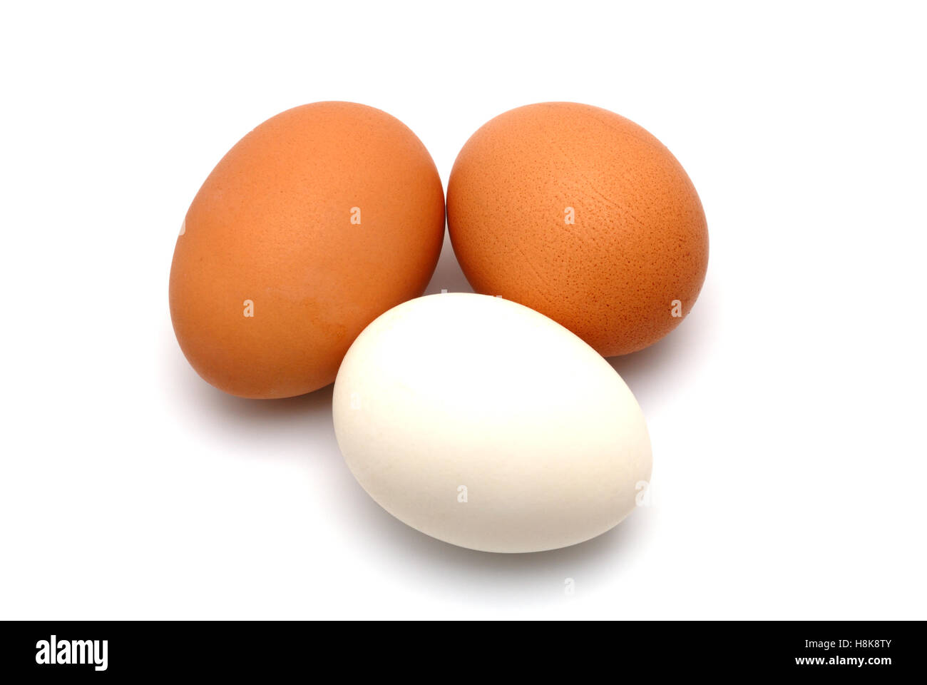 Tre uova di pollo su uno sfondo bianco largly Foto Stock