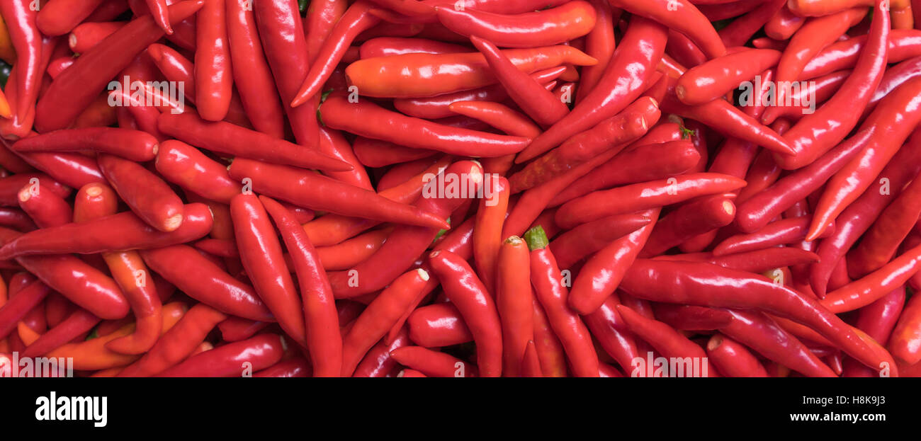 Gruppo di fresco peperoncino rosso sfondo Foto Stock