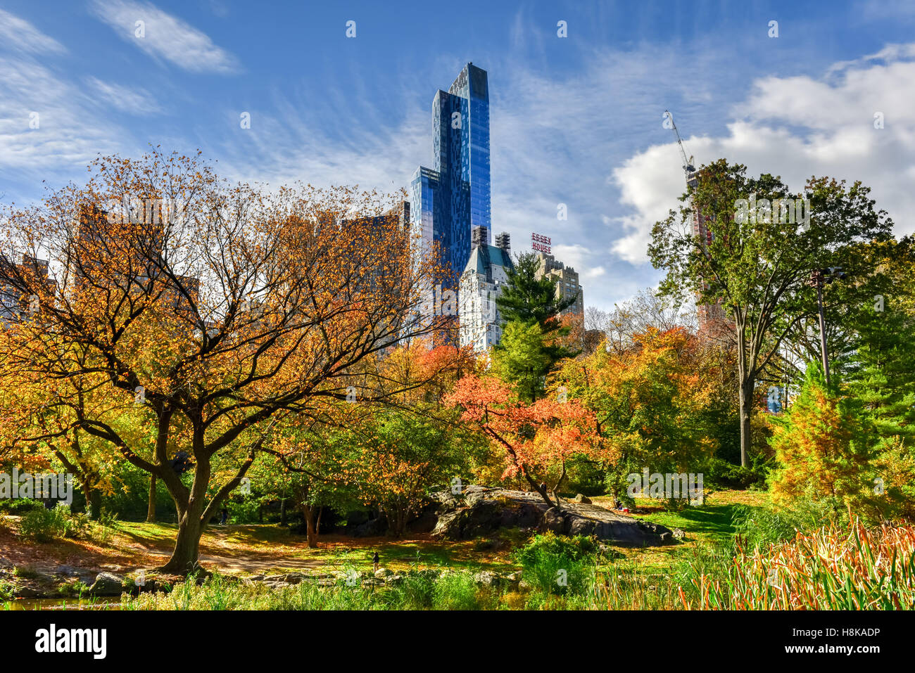 Vista di Central Park a sud della città di New York in autunno. Foto Stock
