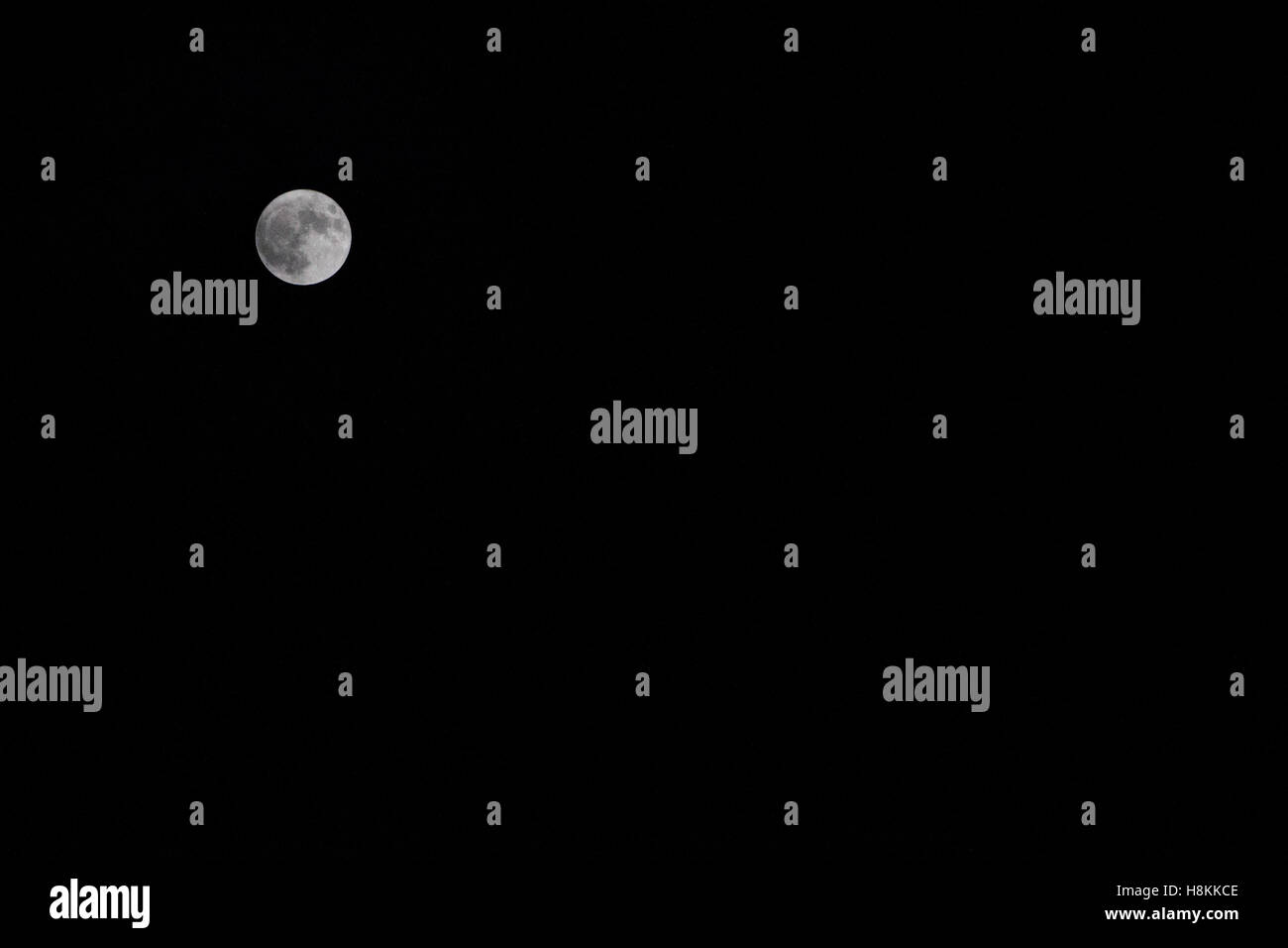 Cracovia in Polonia. Xiv Nov, 2016. Novembre l'supermoon, un termine utilizzato per descrivere una luna piena è al suo perigeo, o il più vicino punto di massa durante l'orbita lunare - il più grande e più brillanti supermoon a salire in quasi 69 anni. La prossima luna piena non venite in questo vicino alla terra ancora fino a nov. 25, 2034. Credito: Ania Freindorf/Alamy Live News Foto Stock