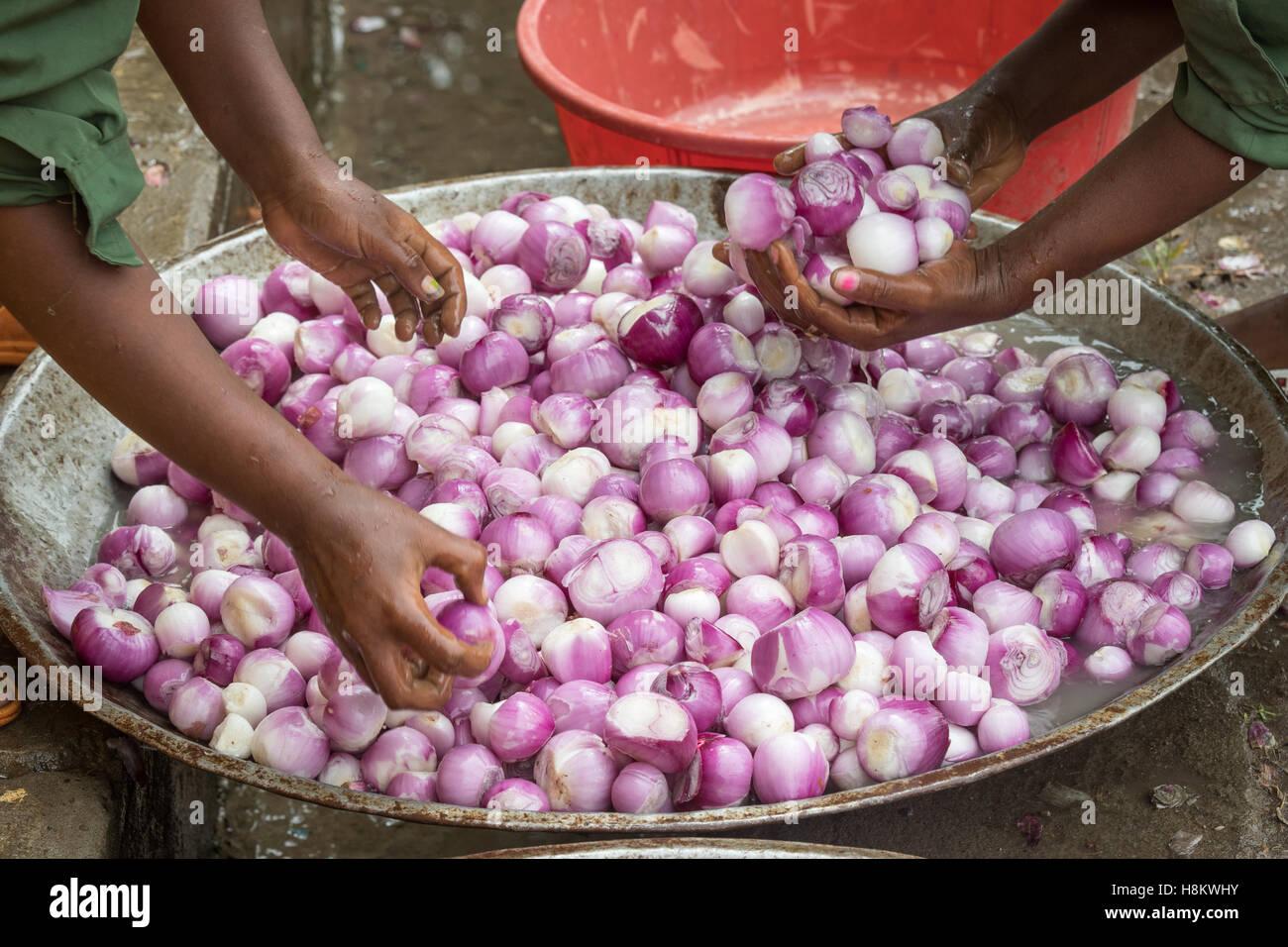 Meki Batu, Etiopia - Cipolle di essere lavati e pelati per valore aggiunto a coltivatori di frutta e vegetali cooperativa in Meki Batu Foto Stock