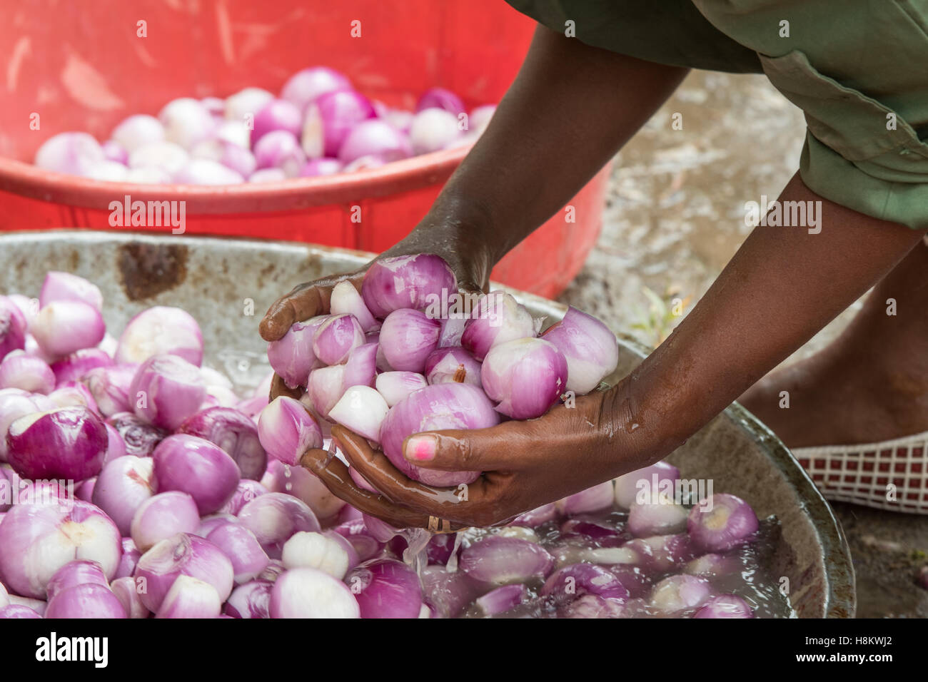 Meki Batu, Etiopia - Cipolle di essere lavati e pelati per valore aggiunto a coltivatori di frutta e vegetali cooperativa in Meki Batu Foto Stock
