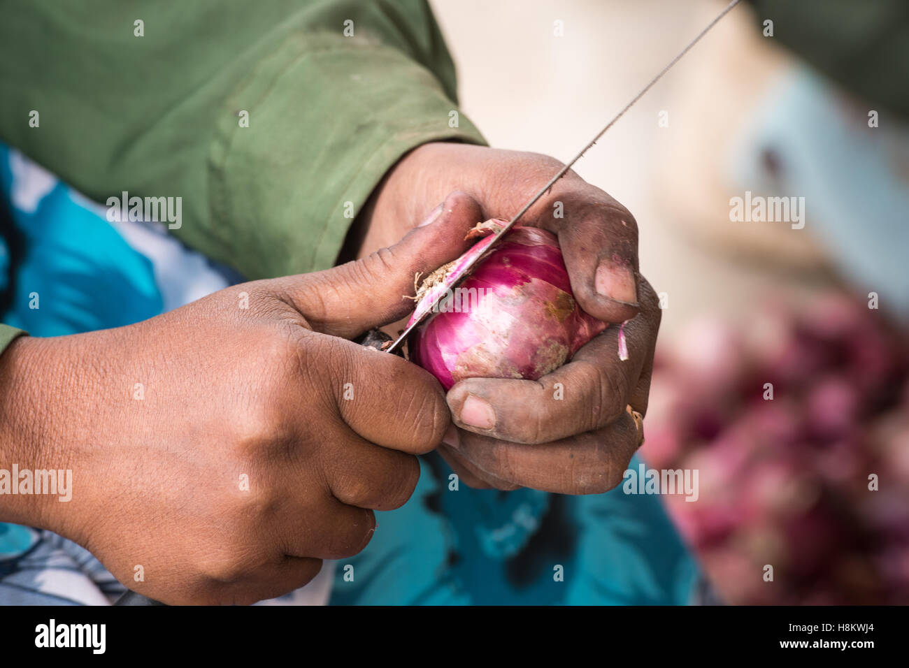 Meki Batu, Etiopia - i lavoratori di sesso femminile Sbucciare le cipolle di valore aggiunto a coltivatori di frutta e vegetali cooperativa in Meki Batu. Foto Stock