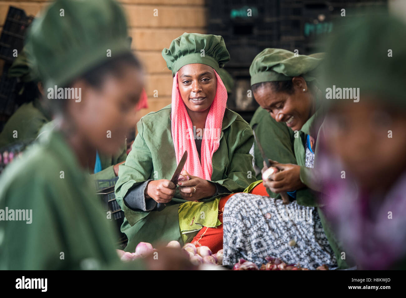 Meki Batu, Etiopia - i lavoratori di sesso femminile Sbucciare le cipolle di valore aggiunto a coltivatori di frutta e vegetali cooperativa in Meki Batu. Foto Stock