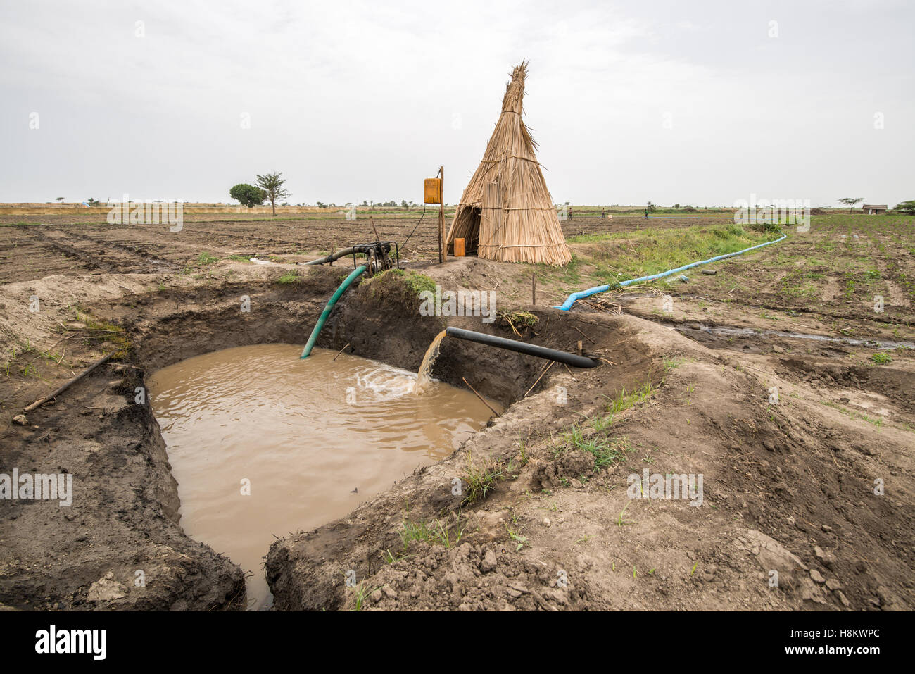 Meki Batu, Etiopia - sistema di irrigazione per i campi presso i coltivatori di frutta e vegetali cooperativa in Meki Batu. Foto Stock Meki Batu, Etiopia - sistema di irrigazione per i campi presso i coltivatori di frutta e vegetali cooperativa in Meki Batu. Foto Stock