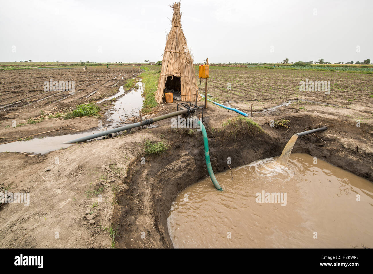 Meki Batu, Etiopia - sistema di irrigazione per i campi presso i coltivatori di frutta e vegetali cooperativa in Meki Batu. Foto Stock Meki Batu, Etiopia - sistema di irrigazione per i campi presso i coltivatori di frutta e vegetali cooperativa in Meki Batu. Foto Stock