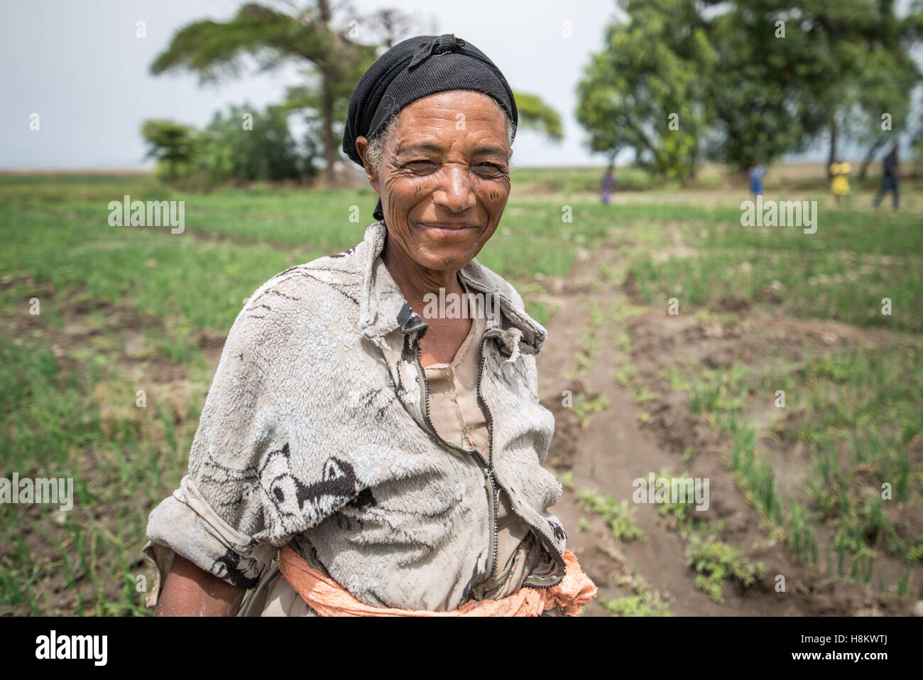 Meki Batu, Etiopia - i lavoratori di sesso femminile sarchiatura di campi di cipolla presso i coltivatori di frutta e vegetali cooperativa in Meki Batu. Foto Stock