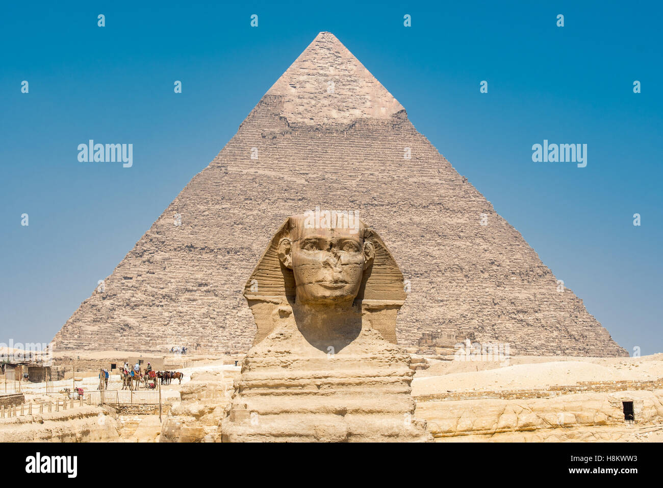 Il Cairo, Egitto la Grande Sfinge di Giza indipendente alto con le grandi piramidi di Giza in background. Questo particolare è Th Foto Stock