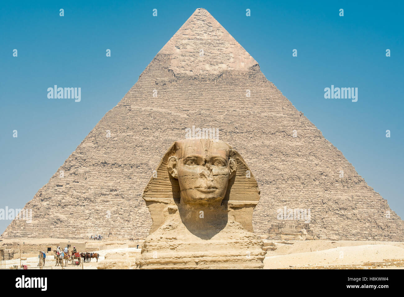 Il Cairo, Egitto la Grande Sfinge di Giza indipendente alto con le grandi piramidi di Giza in background. Questo particolare è Th Foto Stock