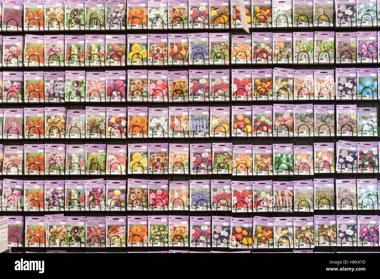 Amsterdam, Paesi Bassi grandi array di diverso colore semi di fiori in vendita in un mercato all'aperto. Foto Stock