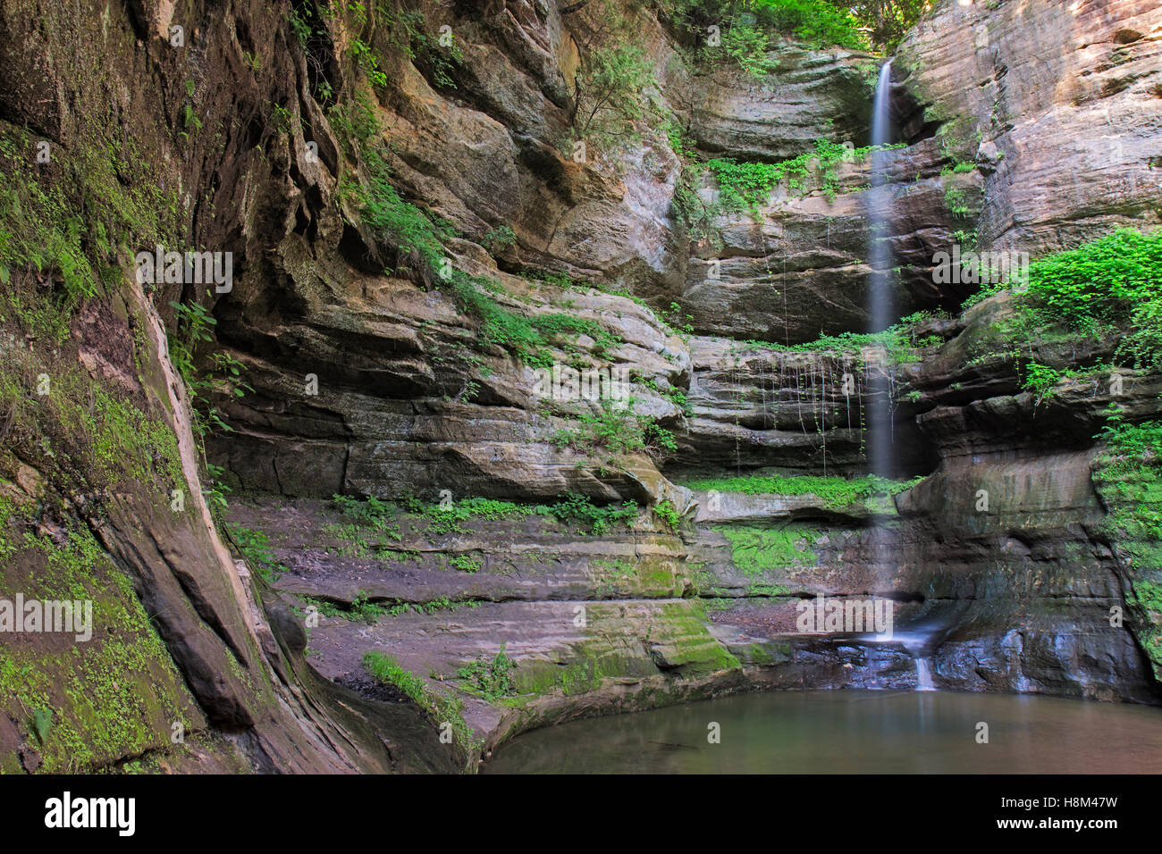 Dopo un tuffo precipitosa, la cascata a Wildcat Canyon riempie dolcemente a una piscina di acqua alla base del canyon. Da nebbia Foto Stock