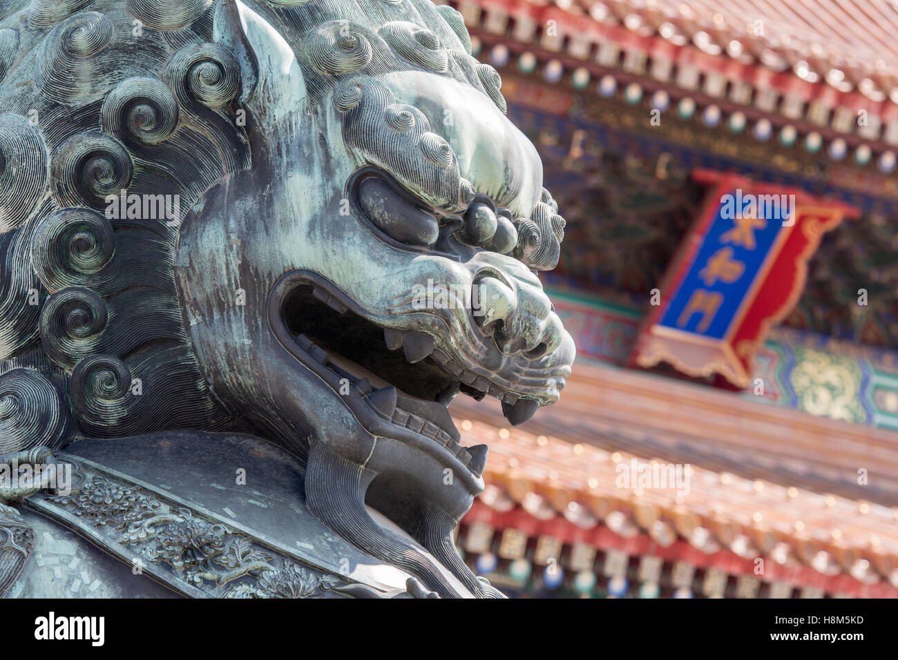 Pechino Cina - il Dettaglio di un bronzo guardian lion statua (SHI) con l'architettura ornata di il museo del palazzo in backg Foto Stock