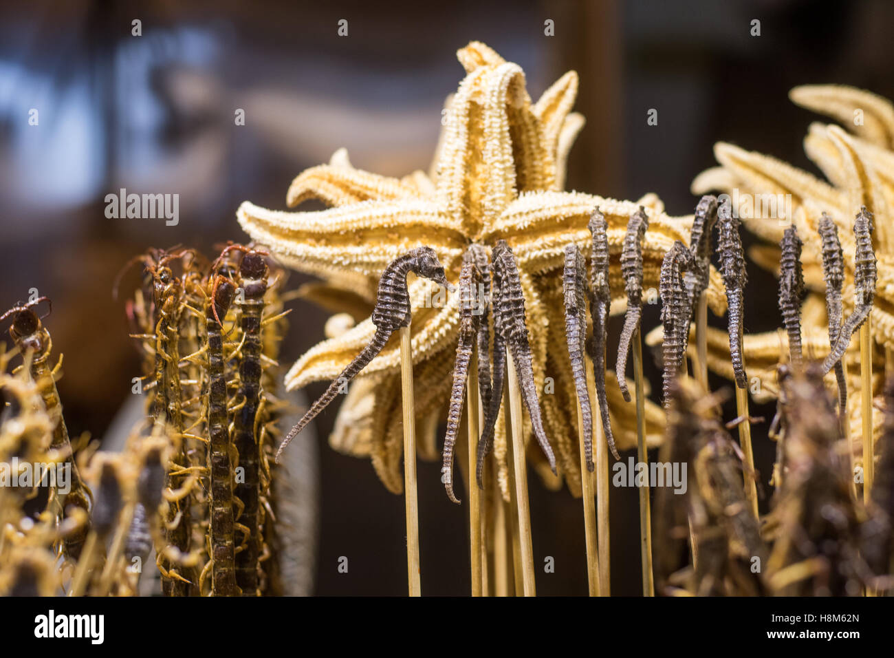 Pechino, Cina - cotte scorpioni, millepiedi, cavallucci marini e stelle marine in vendita presso la Donghuamen Snack mercato notturno, una unità organizzativa di grandi dimensioni Foto Stock