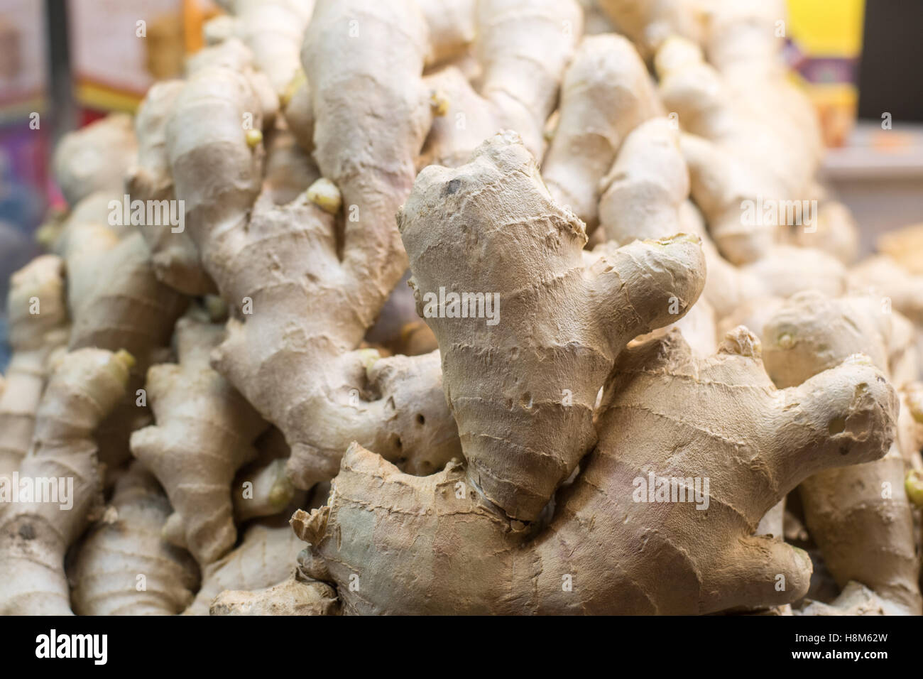Pechino, Cina - radici di zenzero in vendita presso la Donghuamen Snack Mercato Notturno, un grande mercato all'aperto che è un attrazione per lo Foto Stock