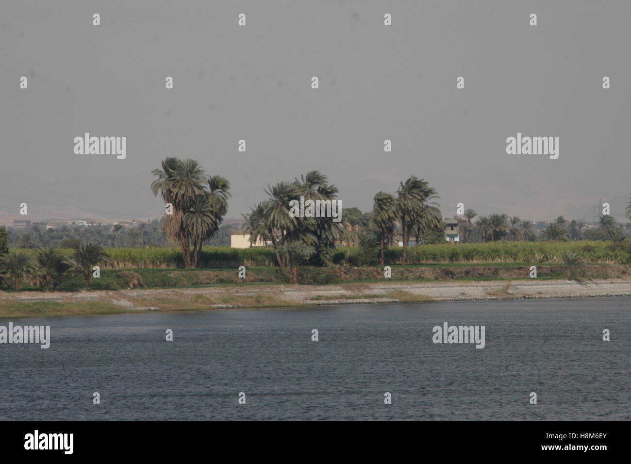 Vista generale del fiume Nilo e banche Foto Stock