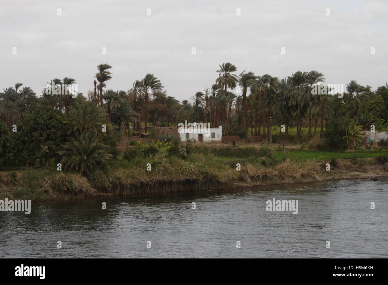 Vista generale della sponda del Nilo Foto Stock