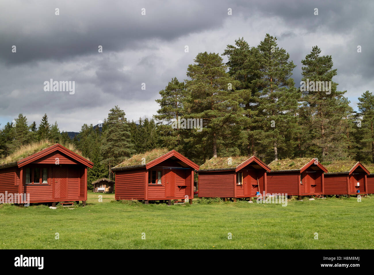 Fila di cabine in affitto nella valle di Valle con un tetto isolato dalle piante e moss, Norvegia, Setesdal, Norvegia Foto Stock