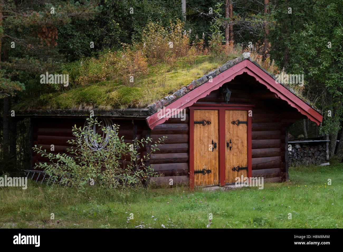 Magazzino di valle in valle con un tetto isolato dalle piante e moss, Norvegia, Setesdal, Norvegia Foto Stock