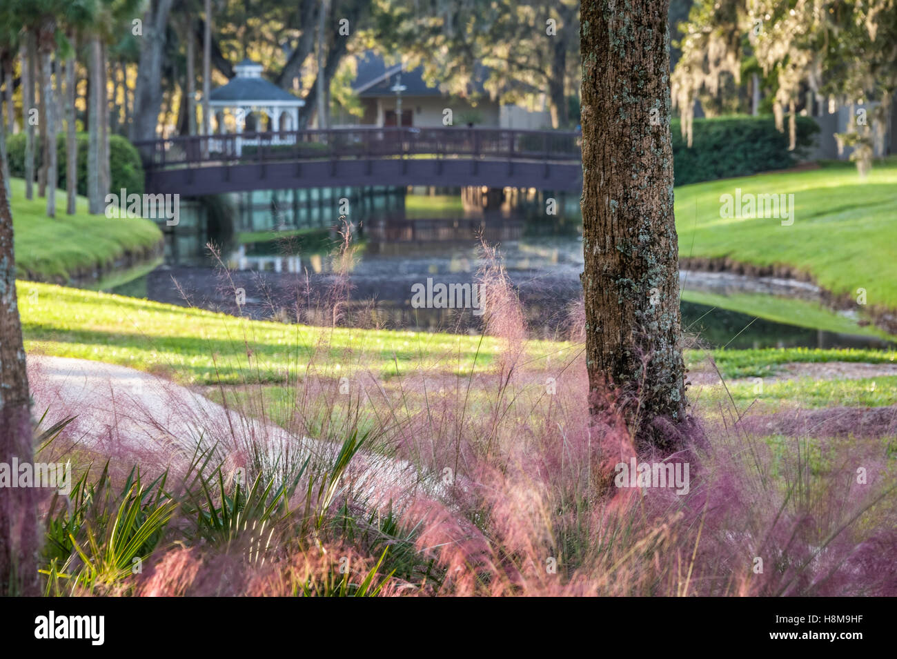 Giardini bellissimi e le vie navigabili di Sawgrass Marriott Golf Resort & Spa a Ponte Vedra Beach, Florida A TPC Sawgrass. Foto Stock