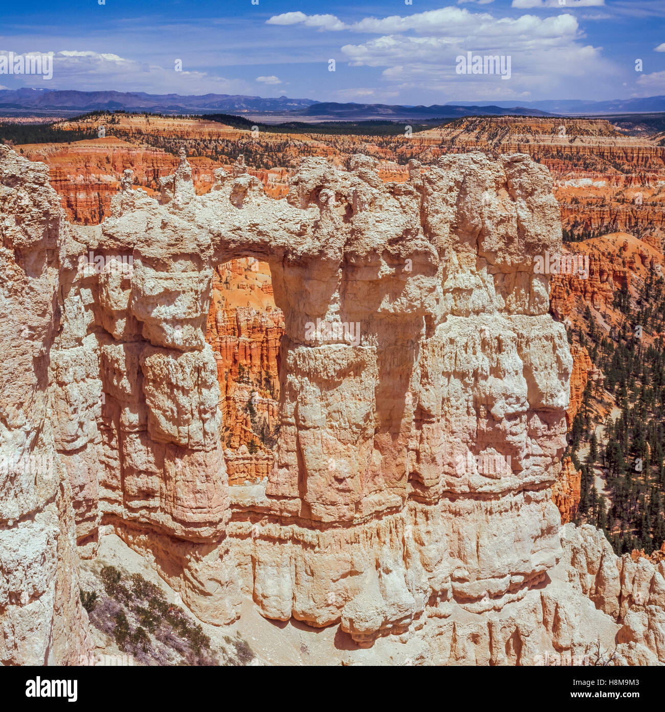 finestra naturale sopra gli hoodoos del bryce canyon national park, utah Foto Stock
